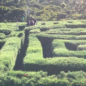 Meet your Posher, Hilda